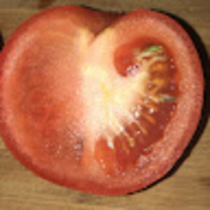 Meet your Posher, Al